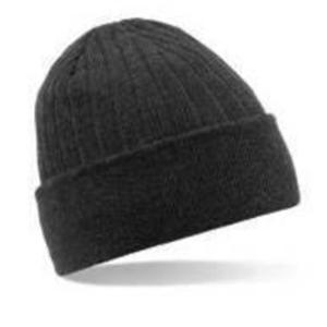 Watch Cap Knitted Thinsulate Hat